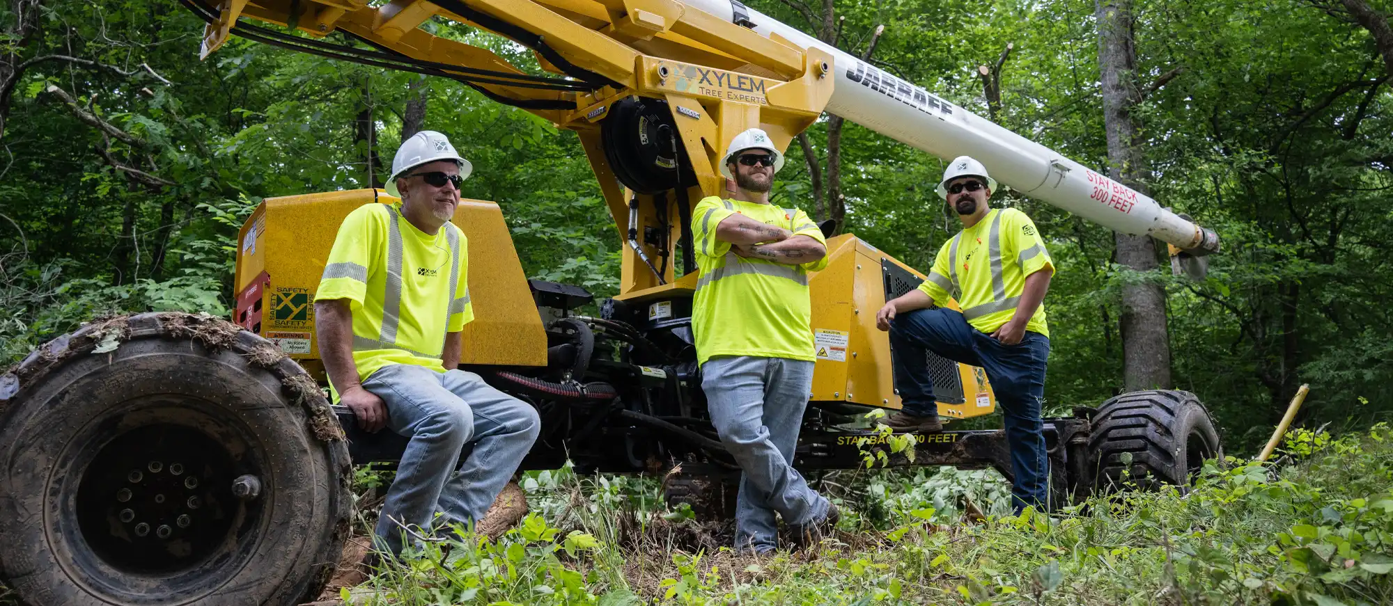 Utility vegetation management crews clearing trees along a transmission right-of-way using specialized equipment.